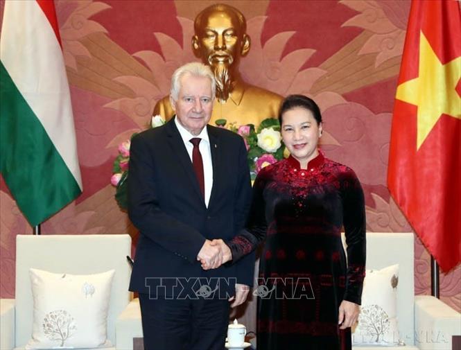 Chủ tịch Quốc hội Nguyễn Thị Kim Ngân tiếp Phó Chủ tịch Quốc hội Hungary István Jakab (Hà Nội, 17/1/2019). Ảnh: Trọng Đức – TTXVN