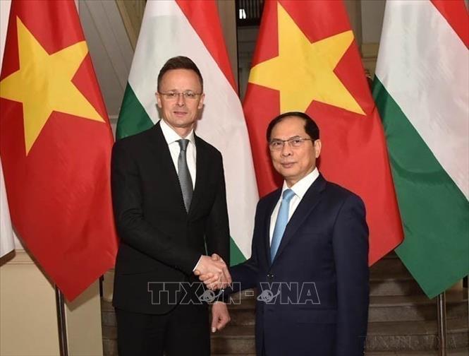 Phó Thủ tướng, Bộ trưởng Ngoại giao Bùi Thanh Sơn hội đàm với Bộ trưởng Ngoại giao và Kinh tế đối ngoại Hungary Szijjarto Peter thăm chính thức Việt Nam (Hà Nội, 19/3/2025). Ảnh: An Đăng - TTXVN
