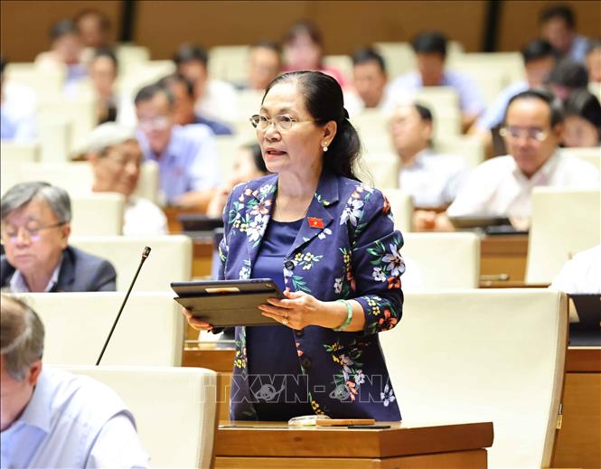 Đại biểu Quốc hội thành phố Hồ Chí Minh Nguyễn Thị Lệ phát biểu. Ảnh: Minh Đức – TTXVN