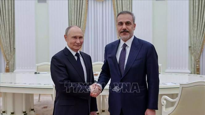 Tổng thống Nga Vladimir Putin (trái) và Ngoại trưởng Thổ Nhĩ Kỳ Hakan Fidan tại cuộc gặp ở Moskva ngày 26/5/2025. Ảnh: Hurriyet Daily News/TTXVN