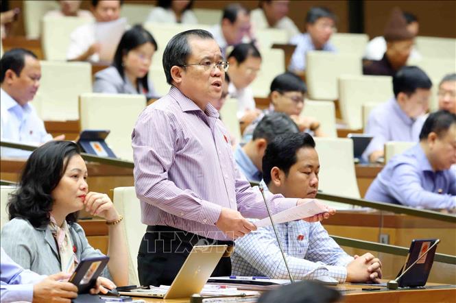 Đại biểu Quốc hội tỉnh Bà Rịa - Vũng Tàu Nguyễn Tâm Hùng phát biểu. Ảnh: Phạm Kiên - TTXVN