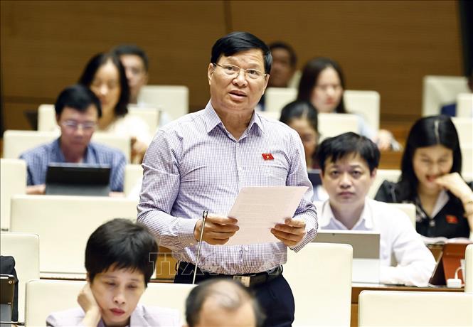 Đại biểu Quốc hội Vĩnh Phúc Trần Văn Tiến phát biểu. Ảnh: Doãn Tấn - TTXVN