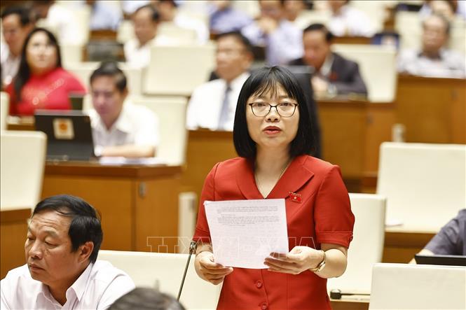 Đại biểu Quốc hội Hải Dương Nguyễn Thị Việt Nga phát biểu. Ảnh: Doãn Tấn - TTXVN