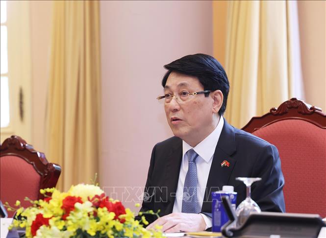Chủ tịch nước Lương Cường phát biểu tại hội đàm. Ảnh: Lâm Khánh – TTXVN