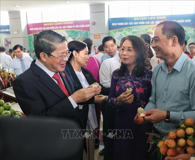 Ủy viên Trung ương Đảng, Phó Chủ tịch Quốc hội Nguyễn Đức Hải, tham quan các gian hàng và thưởng thức vải chín sớm. Ảnh: Danh Lam - TTXVN 