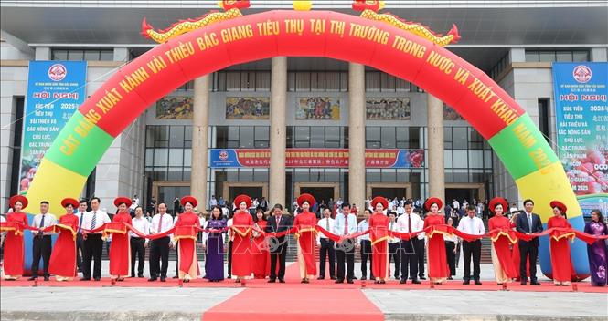 Nghi lễ cắt băng xuất hành chuyến vải chín sớm đầu tiên. Ảnh: Danh Lam - TTXVN 