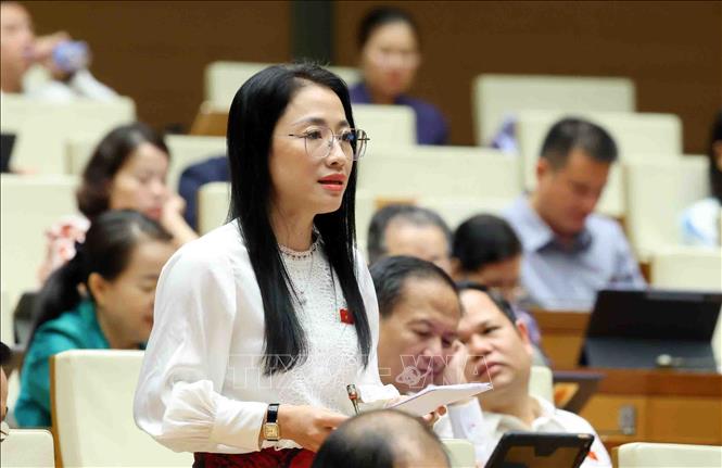 Đại biểu Quốc hội tỉnh Thái Bình Trần Khánh Thu phát biểu. Ảnh: Phạm Kiên - TTXVN