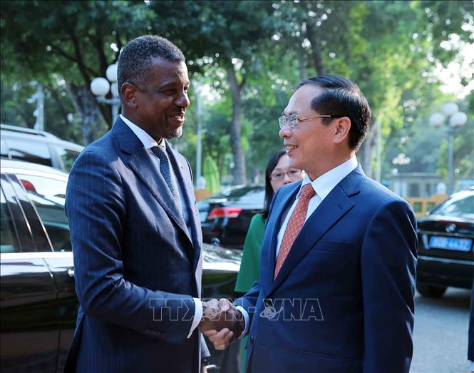Deputy Prime Minister and Foreign Minister Bui Thanh Son welcomes Vince Henderson, Minister for Foreign Affairs, International Business, Trade and Energy of the Commonwealth of Dominica. VNA Photo: An Đăng 