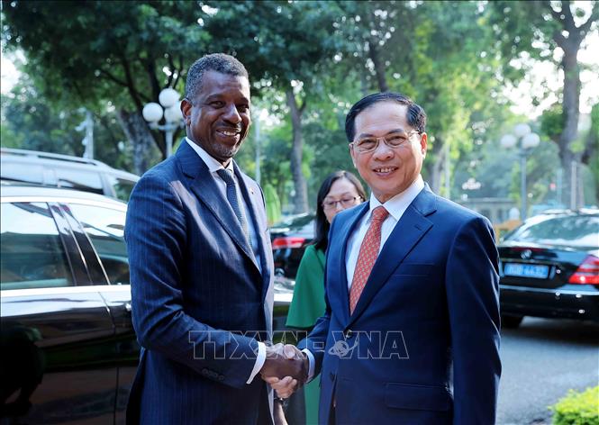 Deputy Prime Minister and Foreign Minister Bui Thanh Son welcomes Vince Henderson, Minister for Foreign Affairs, International Business, Trade and Energy of the Commonwealth of Dominica. VNA Photo: An Đăng 