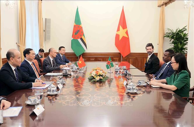 Deputy Prime Minister and Foreign Minister Bui Thanh Son holds talks with Vince Henderson, Minister for Foreign Affairs, International Business, Trade and Energy of the Commonwealth of Dominica. VNA Photo: An Đăng 