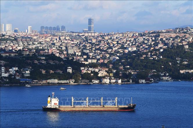 (Tư liệu) Tàu chở ngũ cốc di chuyển qua eo biển Bosphorus ở Istanbul, Thổ Nhĩ Kỳ. Ảnh: THX/TTXVN