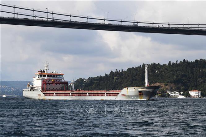 (Tư liệu) Tàu chở ngũ cốc di chuyển qua eo biển Bosphorus ở Istanbul, Thổ Nhĩ Kỳ. Ảnh: THX/TTXVN