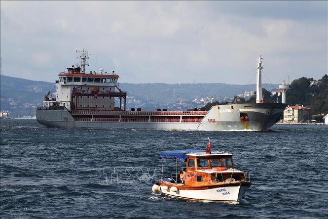 (Tư liệu) Tàu chở ngũ cốc di chuyển qua eo biển Bosphorus ở Istanbul, Thổ Nhĩ Kỳ. Ảnh: THX/TTXVN