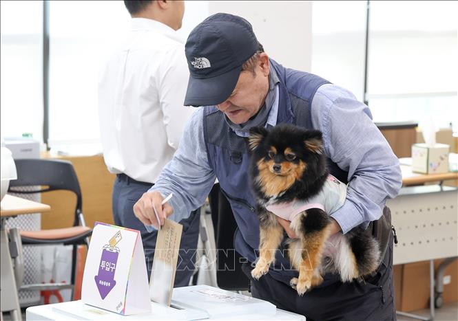 Cử tri bỏ phiếu sớm bầu Tổng thống tại điểm bầu cử ở Seoul, Hàn Quốc, ngày 29/5/2025. Ảnh: Yonhap/TTXVN
