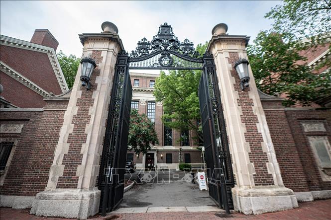 Khuôn viên Đại học Harvard ở Cambridge, bang Massachusetts, Mỹ. Ảnh: THX/TTXVN