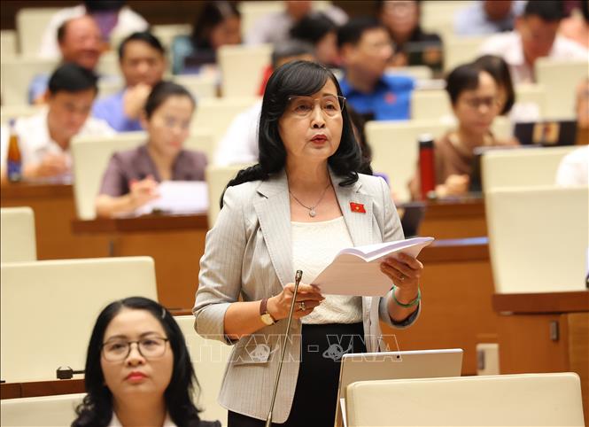 Đại biểu Quốc hội tỉnh Bạc Liêu Trần Thị Thu Đông phát biểu. Ảnh: Văn Điệp - TTXVN