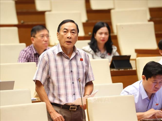 Đại biểu Quốc hội tỉnh Đồng Tháp Phạm Văn Hòa phát biểu. Ảnh: Văn Điệp - TTXVN