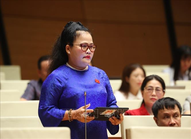 Đại biểu Quốc hội thành phố Huế Nguyễn Thị Sửu phát biểu. Ảnh: Văn Điệp - TTXVN