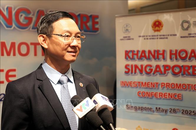 Đại sứ Việt Nam tại Singapore Trần Phước Anh trả lời phóng viên TTXVN. Ảnh: Tất Đạt - PV TTXVN tại Singapore