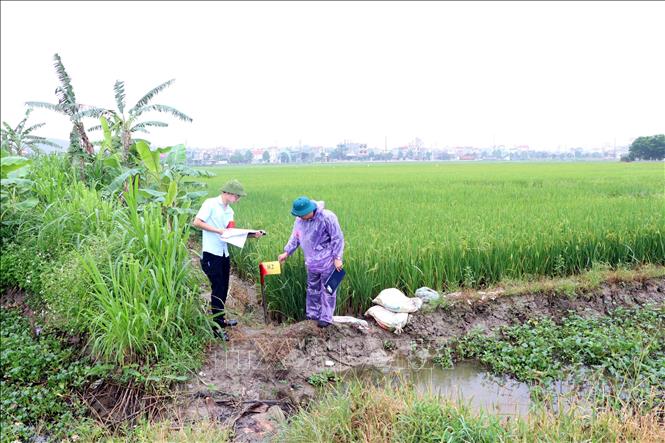 Lực lượng chức năng xác định mốc giới các thửa đất thu hồi. Ảnh: Mạnh Tú - TTXVN