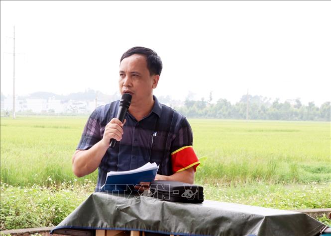 Lực lượng chức năng công bố các quyết định cưỡng chế thu hồi đất. Ảnh: Mạnh Tú - TTXVN 