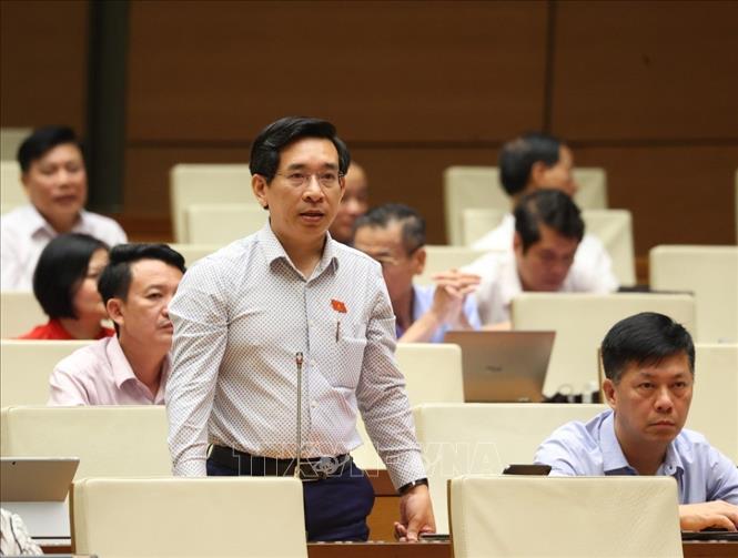 Đại biểu Quốc hội tỉnh Bình Định Nguyễn Văn Cảnh phát biểu. Ảnh: Văn Điệp - TTXVN