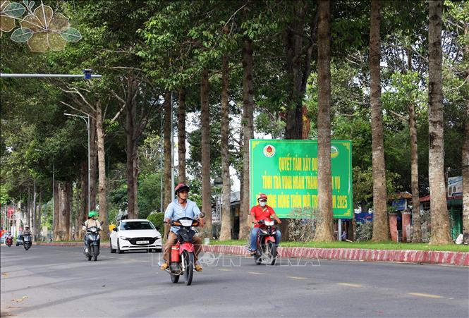 Con đường Võ Nguyễn Giáp, phường 7, thành phố Trà Vinh, rợp bóng cây dầu. Ảnh: Hồng Đạt - TTXVN
