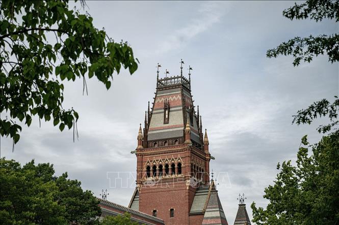 Khuôn viên Đại học Harvard ở Cambridge, bang Massachusetts, Mỹ. Ảnh: THX/TTXVN
