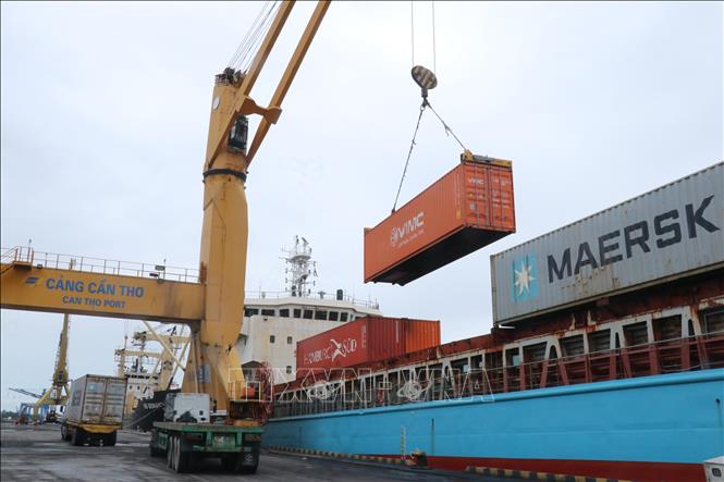  Bốc hàng container lên tàu tại cảng Cái Cui. Ảnh: Ngọc Thiện - TTXVN