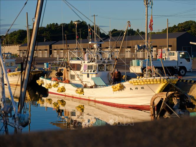 Ngư dân làm việc tại cảng cá ở thị trấn Shinchi, tỉnh Fukushima, Nhật Bản. Ảnh: THX/TTXVN