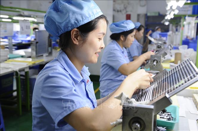 Hoạt động sản xuất tại Công ty Fancy (KCN Phố Nối A, Hưng Yên). Ảnh: Mạnh Khánh-TTXVN