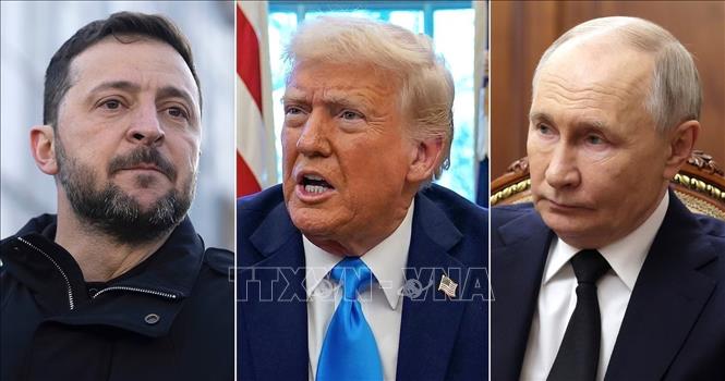 (Từ trái sang) Tổng thống Ukraine Volodymyr Zelensky, Tổng thống Mỹ Donald Trump và Tổng thống Nga Vladimir Putin. Ảnh: AP/TTXVN