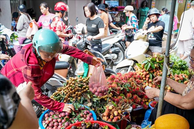 Tết Đoan Ngọ là thời điểm nhiều loại trái cây đang vào mùa vụ, nên ưu tiên những loại có vị ngọt, chua: như mận, vải... Ảnh: Khánh Hoà - TTXVN