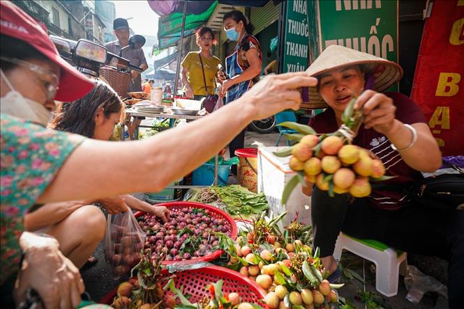 Tết Đoan Ngọ là thời điểm nhiều loại trái cây đang vào mùa vụ, nên ưu tiên những loại có vị ngọt, chua: như mận, vải... Ảnh: Khánh Hoà - TTXVN