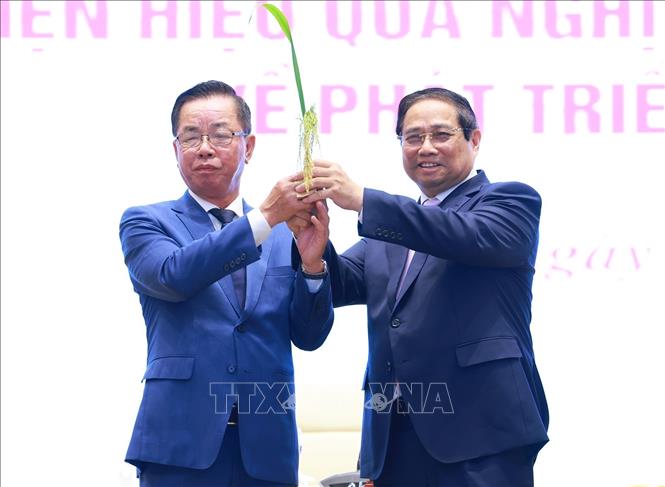 Doanh nghiệp sản xuất nông nghiệp tại Thái Bình tặng bông lúa giống mới cho Thủ tướng Phạm Minh Chính. Ảnh: Dương Giang-TTXVN