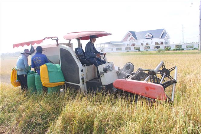 Cơ giới hóa trong nông nghiệp đã giúp cho đời sống kinh tế người dân ngày càng phát triển, diện mạo huyện nông thôn mới nâng cao Phước Long ngày càng khởi sắc. Ảnh (tư liệu): Chanh Đa-TTXVN   