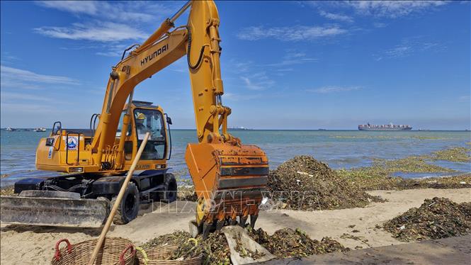 Công ty cổ phần Dịch vụ Môi trường và Công trình Đô thị thành phố Vũng Tàu huy động hàng chục xe cơ giới cùng nhân công, tình nguyện viên của các lượng lượng phường, xã thu gom rác tại bãi biển Bãi Trước, thành phố Vũng Tàu. Ảnh: Huỳnh Sơn-TTXVN