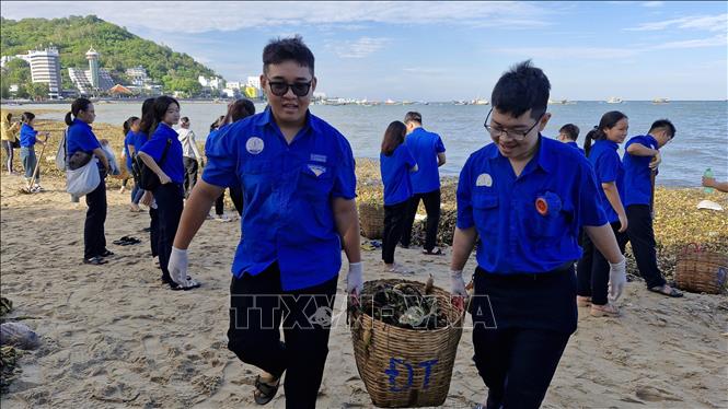 Đơn vị lực lượng vũ trang, trường học và nhân dân trên địa bàn tự nguyện tham gia nhặt, thu gom rác thiên nhiên, làm sạch môi trường biển. Ảnh: Huỳnh Sơn-TTXVN