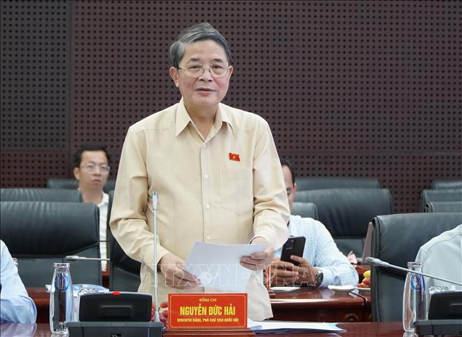 Phó Chủ tịch Quốc hội Nguyễn Đức Hải phát biểu tại buổi làm việc. Ảnh: Quốc Dũng - TTXVN