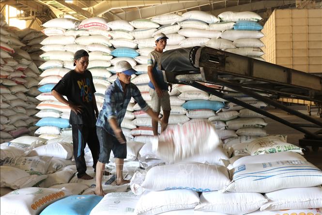 Công nhân Nhà máy xay xát gạo công nghệ cao Trung An chuẩn bị gạo cho đơn hàng xuất khẩu. Ảnh: Hồng Nhung - TTXVN
