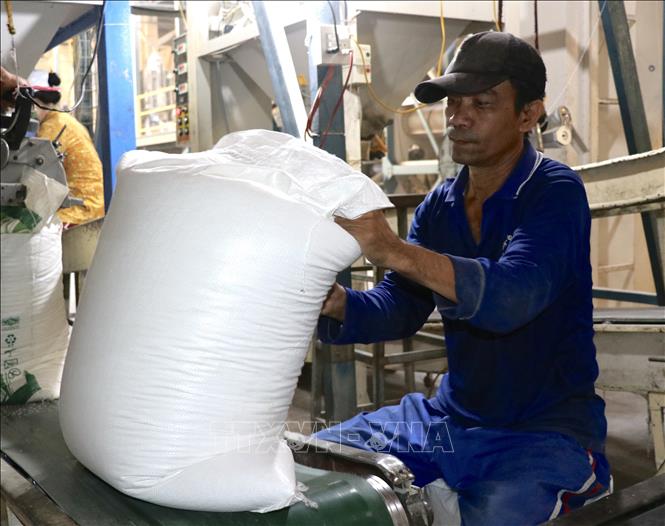 Đóng bao gạo sạch xuất khẩu tại nhà máy xay xát Trung An. Ảnh: Hồng Nhung - TTXVN