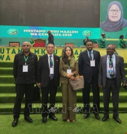 Đại sứ Việt Nam tại Tanzania Vũ Thanh Huyền đã tham dự Hội nghị. Ảnh TTXVN phát