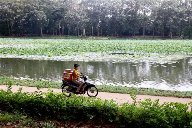 Con đường nhỏ chạy quanh Ao Bà Om cũng là lối đi cho người dân địa phương. Ảnh: Hồng Đạt - TTXVN
