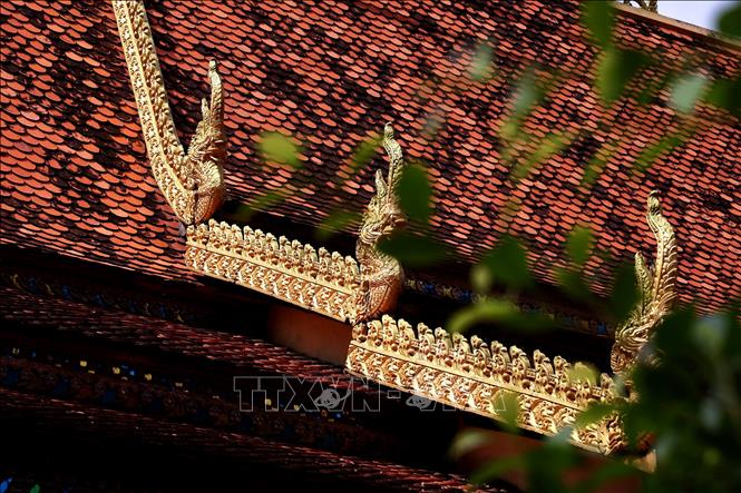 Các gò mái có thần rắn Naga với mào cong vút, tượng trưng cho cầu nối giữa trần gian và cõi Niết bàn. Ảnh: Hồng Đạt - TTXVN
