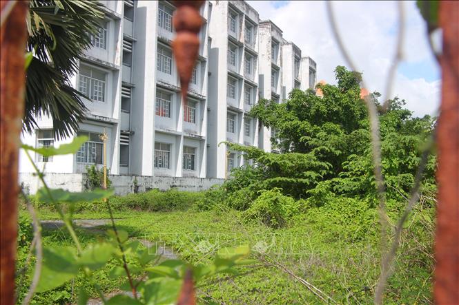 Bên trong khuôn viên khu nhà ở sinh viên, cỏ cây mọc phủ đầy mà không có người dọn dẹp. 
Ảnh: Chanh Đa-TTXVN