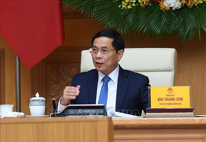 Deputy Prime Minister Bui Thanh Son speaks at the reception. VNA Photo/Photo by courtesy