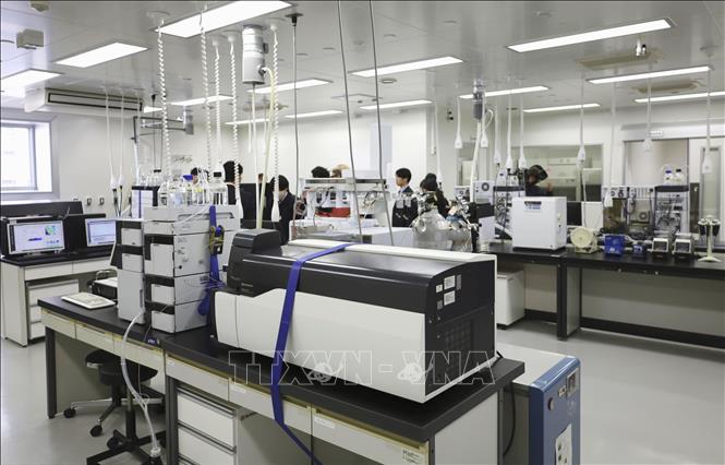 (Tư liệu) Một phòng thí nghiệm của trường đại học Tohoku ở Sendai, Nhật Bản. Ảnh: Kyodo/TTXVN