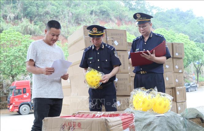 Lực lượng Hải quan cửa khẩu Cốc Nam (Lạng Sơn) tra soát mã, chủng loại hàng nhập khẩu qua cửa khẩu. Ảnh: Quang Duy - TTXVN