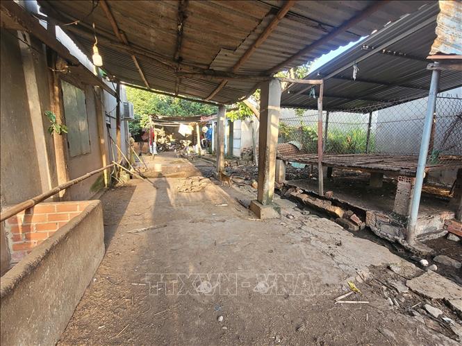 Một cơ sở chăn nuôi bò và dê tại ấp Nam, xã Hòa Long, thành phố Bà Rịa đã chấm dứt hoạt động chăn nuôi do nằm ngoài vùng quy hoạch. Ảnh: Hoàng Nhị - TTXVN