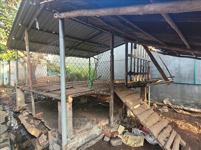 Một cơ sở chăn nuôi dê tại ấp Nam, xã Hòa Long, thành phố Bà Rịa đã chấm dứt hoạt động chăn nuôi do nằm ngoài vùng quy hoạch. Ảnh: Hoàng Nhị - TTXVN